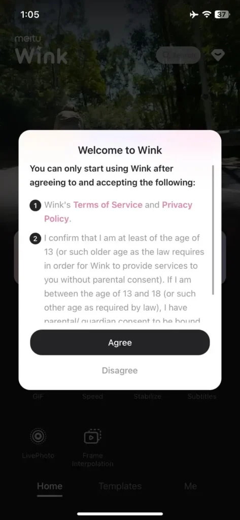 Tap on the Accept WinkGeeks